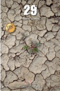 29 – Mardin Yolunda