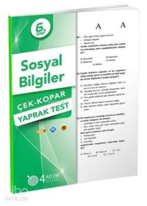 4 Adım - 6. Sınıf Sosyal Bilgiler Yaprak Test