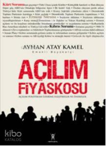 Açılım Fiyaskosu; Açılım Politikaları Üzerine Eleştiriler ve Öneriler