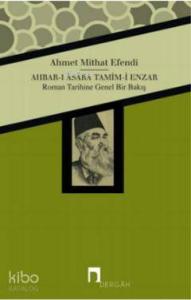 Ahbar-ı Asara Tamim-i Enzar; Roman Tarihine Genel Bir Bakış