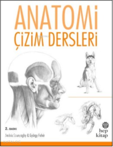 Anatomi Çizim Dersleri