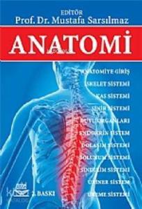Anatomi