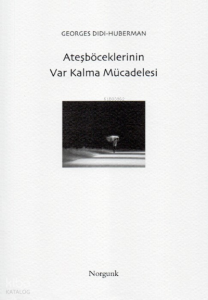 Ateşböceklerinin Var Kalma Mücadelesi