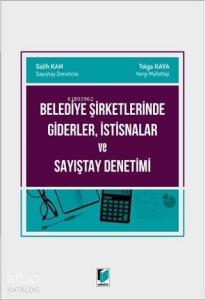 Belediye Şirketlerinde Giderler, İstisnalar ve Sayıştay Denetimi