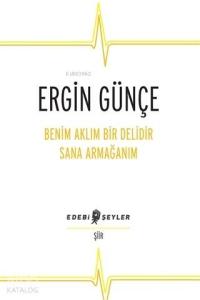 Benim Aklım Bir Delidir Sana Armağanım