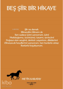 Beş Şiir Bir Hikaye