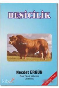 Besicilik