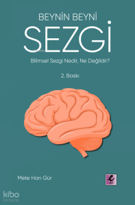 Beynin Beyni Sezgi
