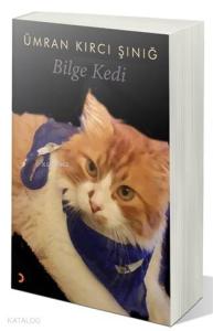 Bilge Kedi