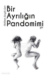 Bir Ayrılığın Pandomimi