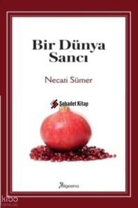 Bir Dünya Sancı