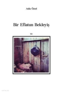 Bir Eflatun Bekleyiş