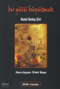 Bir Gülü Büyütmek