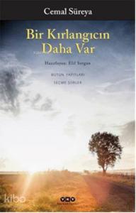 Bir Kırlangıcın Daha Var