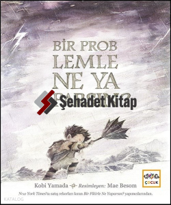 Bir Problemle Ne Yaparsın