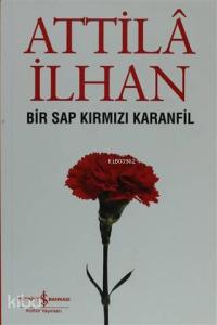 Bir Sap Kırmızı Karanfil Cumhuriyet Söyleşileri (Eylül '96 - Mart '97)