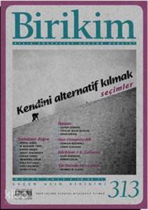 Biriki Sayı: 313; Kendini Alternatif Kılmak - Seçimler