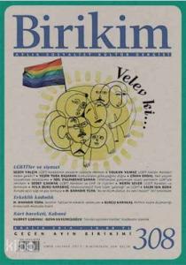 Birikim - 308 Aralık