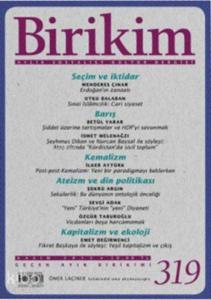 Birikim Sayı 319 - Kasım 2015