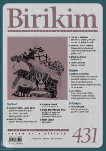 Birikim