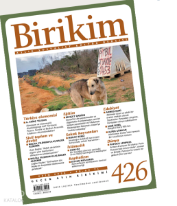 Birikim