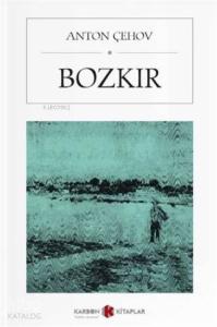 Bozkır