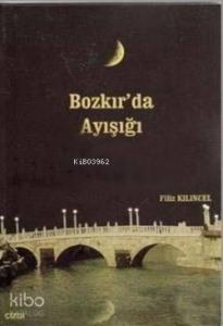 Bozkır'da Ayışığı
