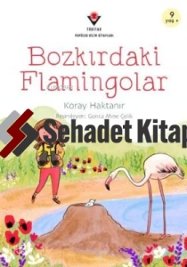 Bozkırdaki Flamingolar