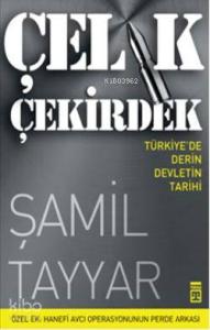 Çelik Çekirdek; Türkiye'de Derin Devletin Tarihi