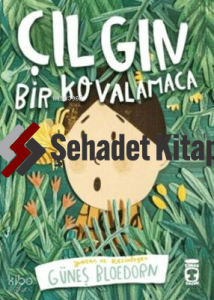 Çılgın Bir Kovalamaca