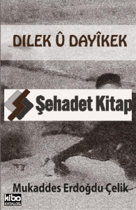 Dılek û Dayikek
