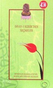 Divan-ı Kebir'den Seçmeler