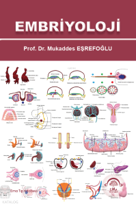 Embriyoloji