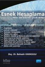 Esnek Hesaplama; Melez Zeki Sistemler İçin Bir Rehber