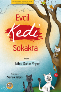 Evcil Kedi Sokakta