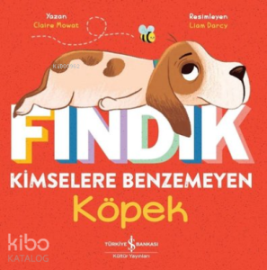 Fındık Kimselere Benzemeyen Köpek