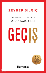 Geçiş;Kurumsal Hayattan Solo Kariyere