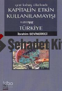 Geri Kalmış Ülkelerde Kapitalin Etkin Kullanılamayışı ve Türkiye