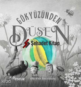 Gökyüzünden Düşen