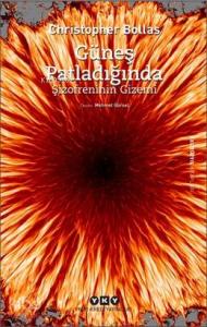 Güneş Patladığında - Şizofreninin Gizemi