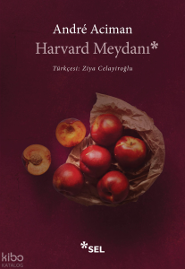 Harvard Meydanı