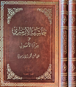 Haşiyetül İzmiri Ala Miratil Usul (2 Cilt)