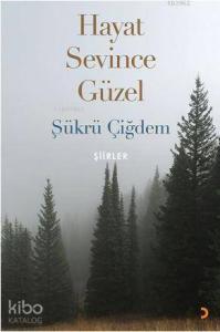 Hayat Sevince Güzel