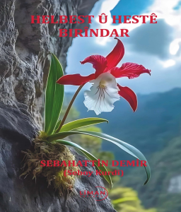 Helbest Ü Heste  Birindar