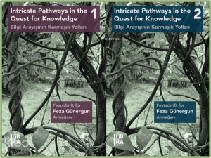 Intricate Pathways in the Quest for Knowledge - Feza Günergun Armağanı (2  Cilt);Bilgi Arayışının Karmaşı Yolları - Festschrift for Feza Günergun