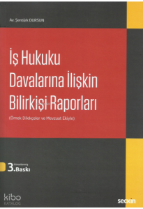 İş Hukuku Davalarına İlişkin Bilirkişi Raporları