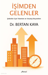 İşimden Gelenler;Şirket İçin Yönetim ve Strateji Reçeteleri