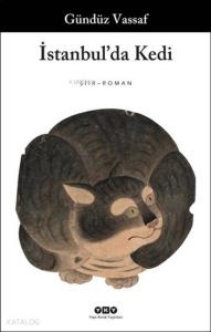 İstanbul'da Kedi