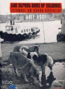 İstanbul'un Sokak Köpekleri