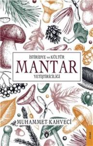 İstiridye ve Kültür Mantar Yetiştiriciliği